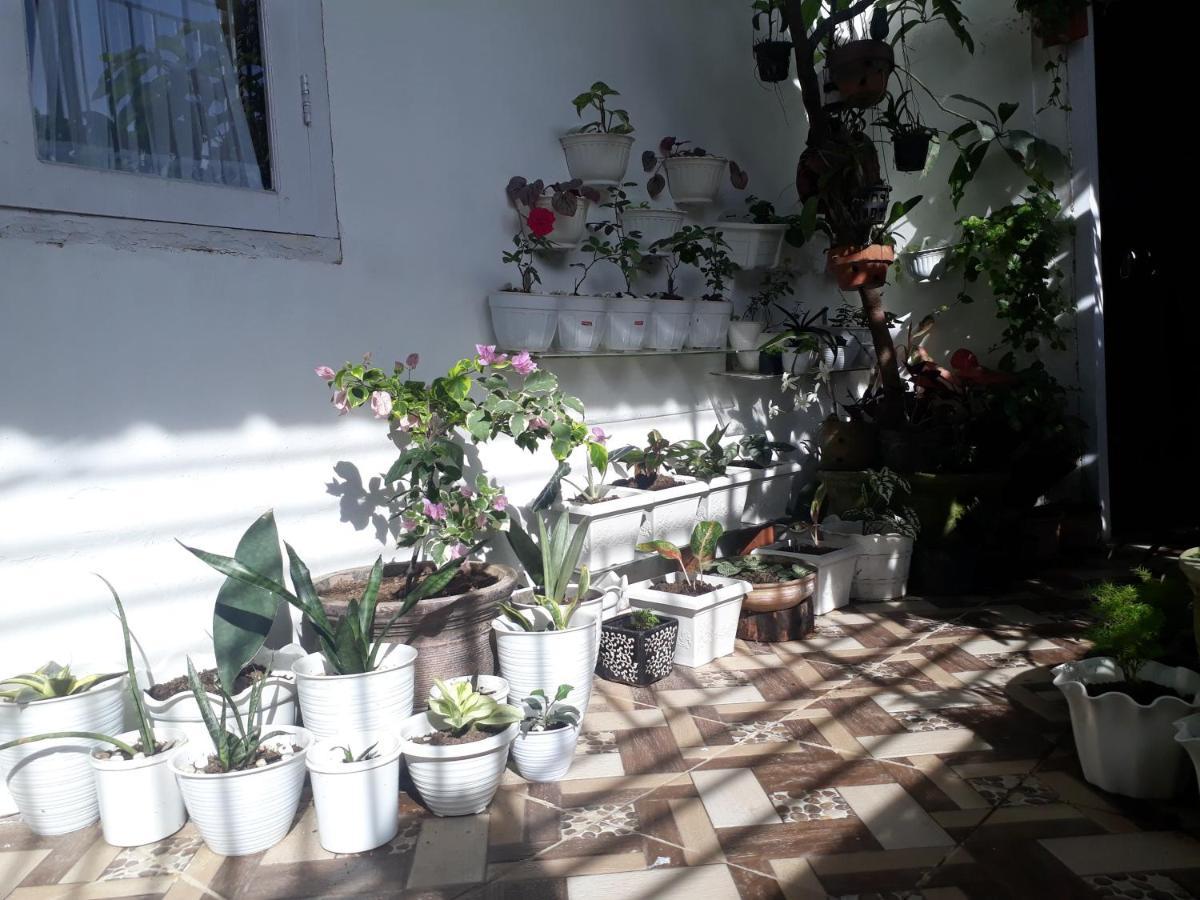 Painan Bumimi Homestay מראה חיצוני תמונה