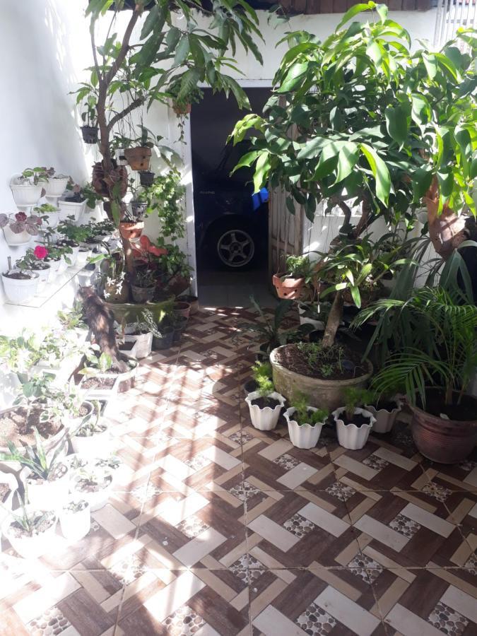 Painan Bumimi Homestay מראה חיצוני תמונה